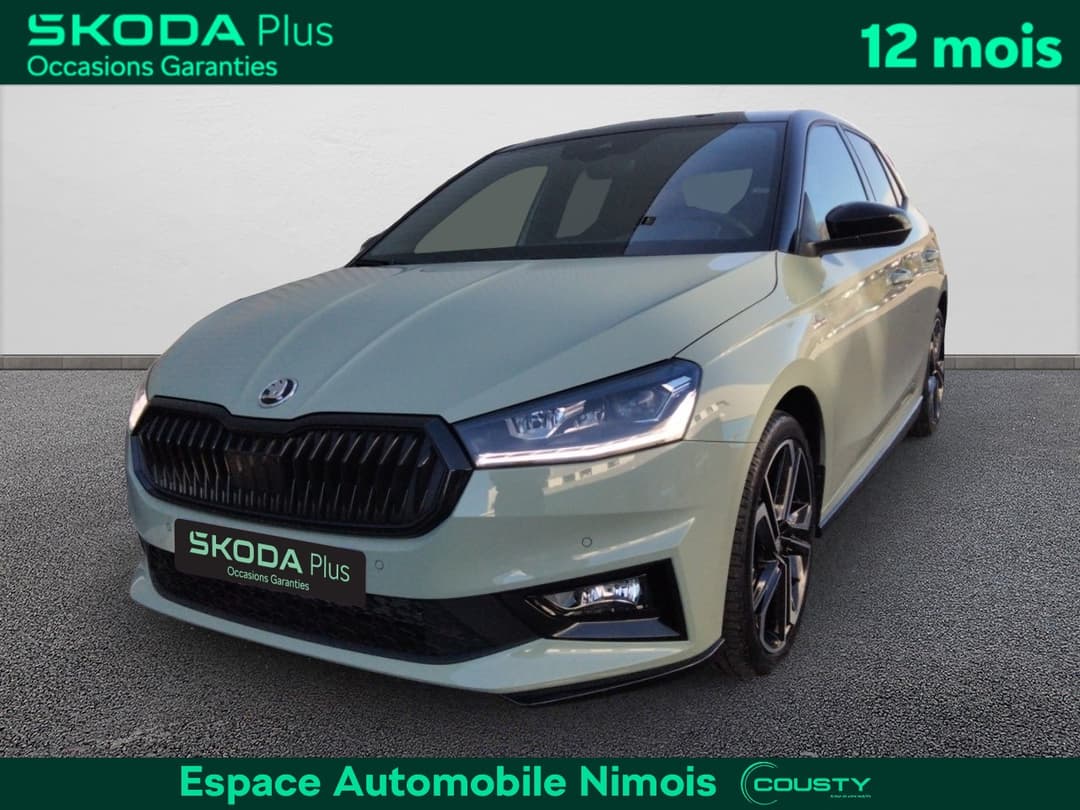 Skoda Fabia Neuve Prix