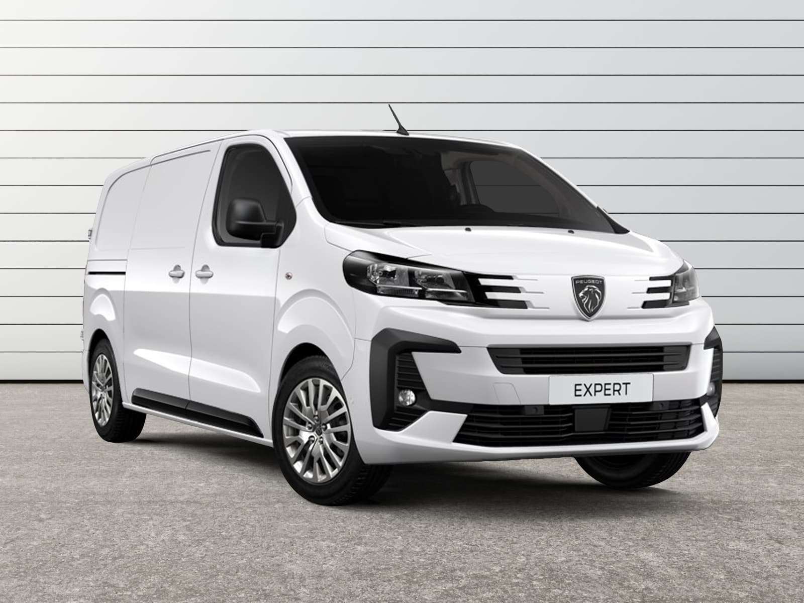 Photo de peugeot expert (1)