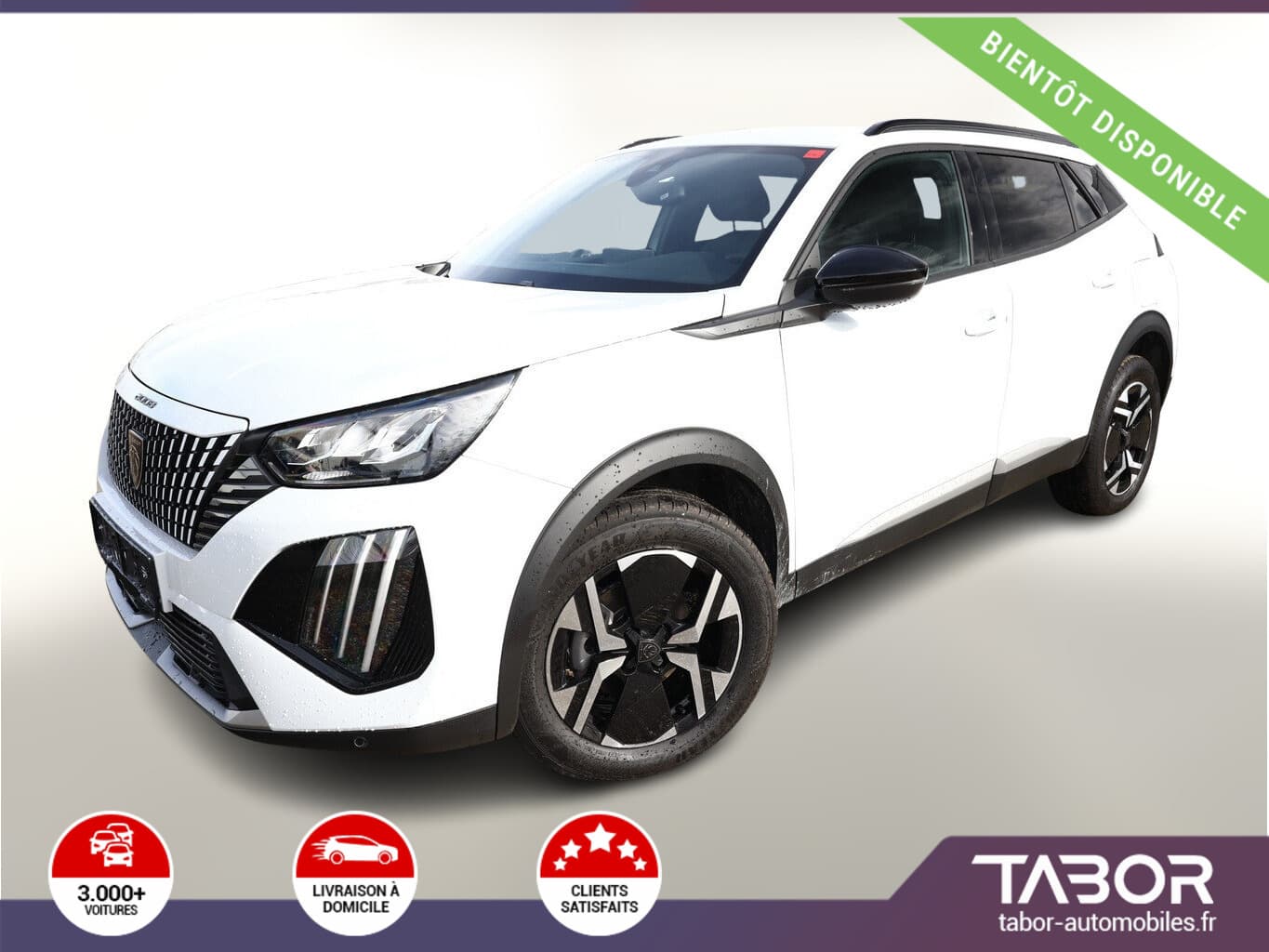 Photo de peugeot 2008 (1)