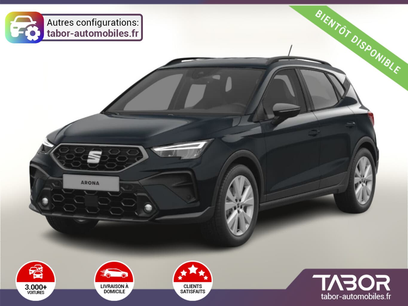 Photo de seat arona (1)