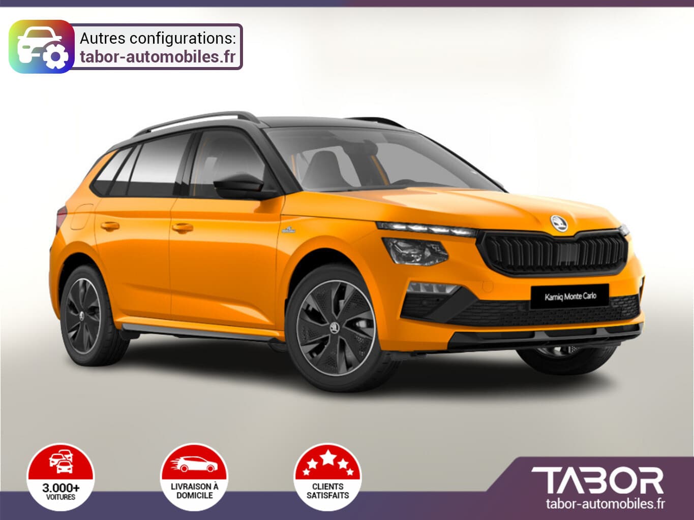 Photo de skoda kamiq (1)