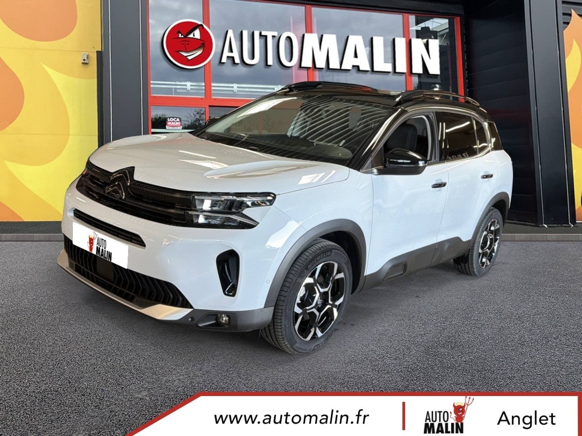 Photo de citroen c5 aircross (1)