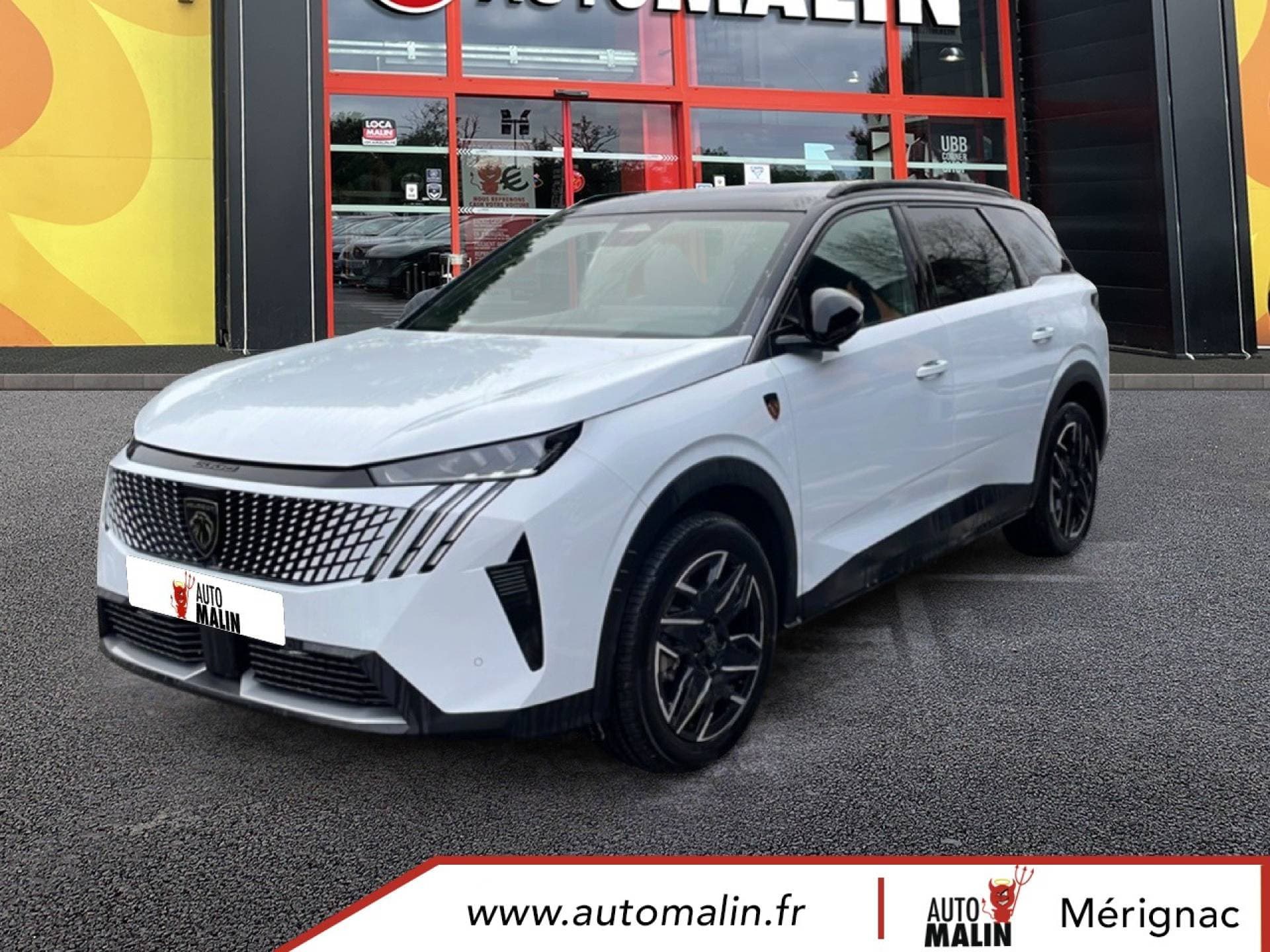 Photo de peugeot 5008 (1)