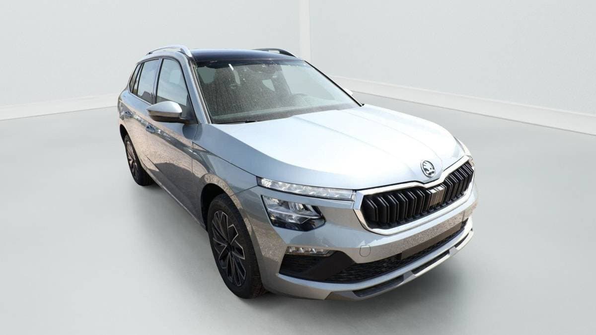 Photo de skoda kamiq (1)