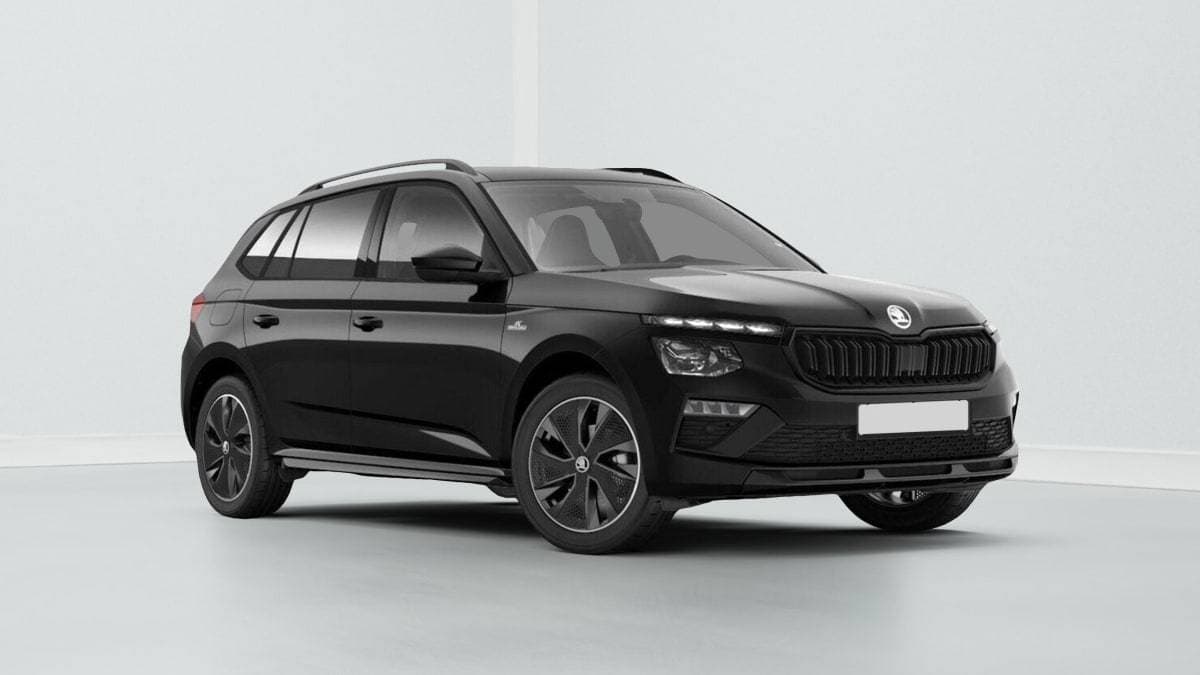 Photo de skoda kamiq (1)