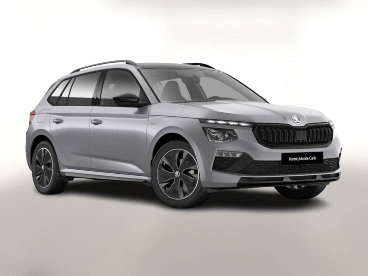 Photo de skoda kamiq (1)