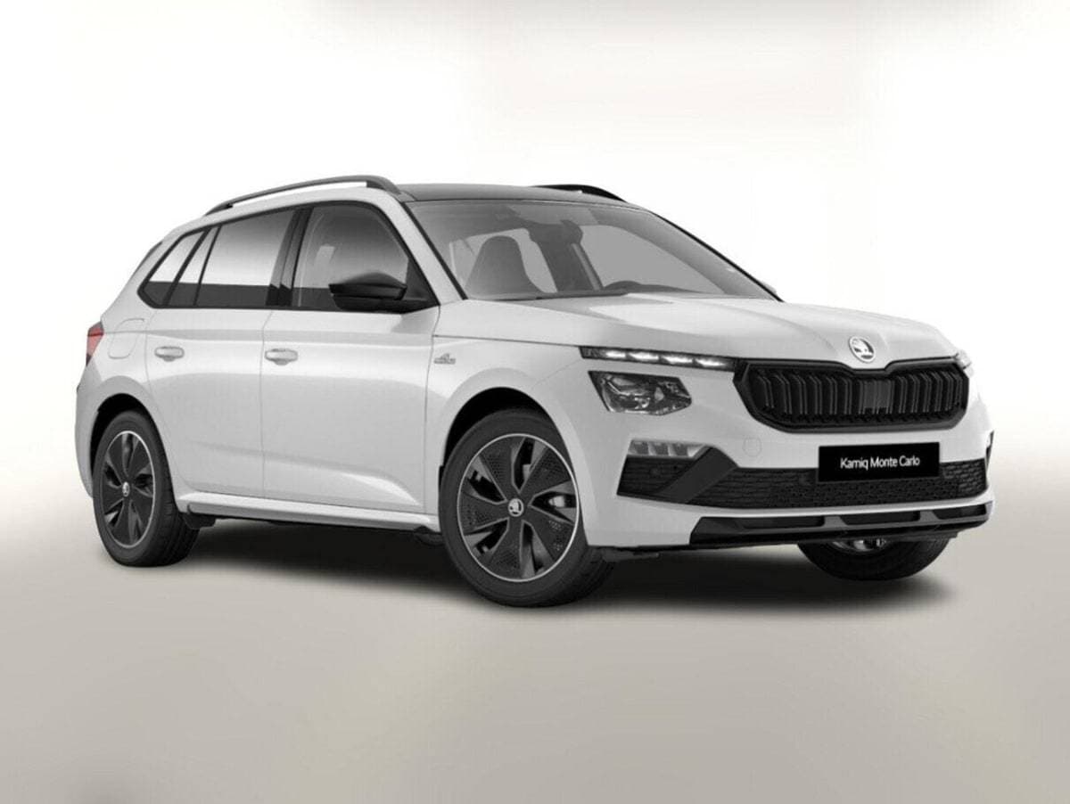 Photo de skoda kamiq (1)