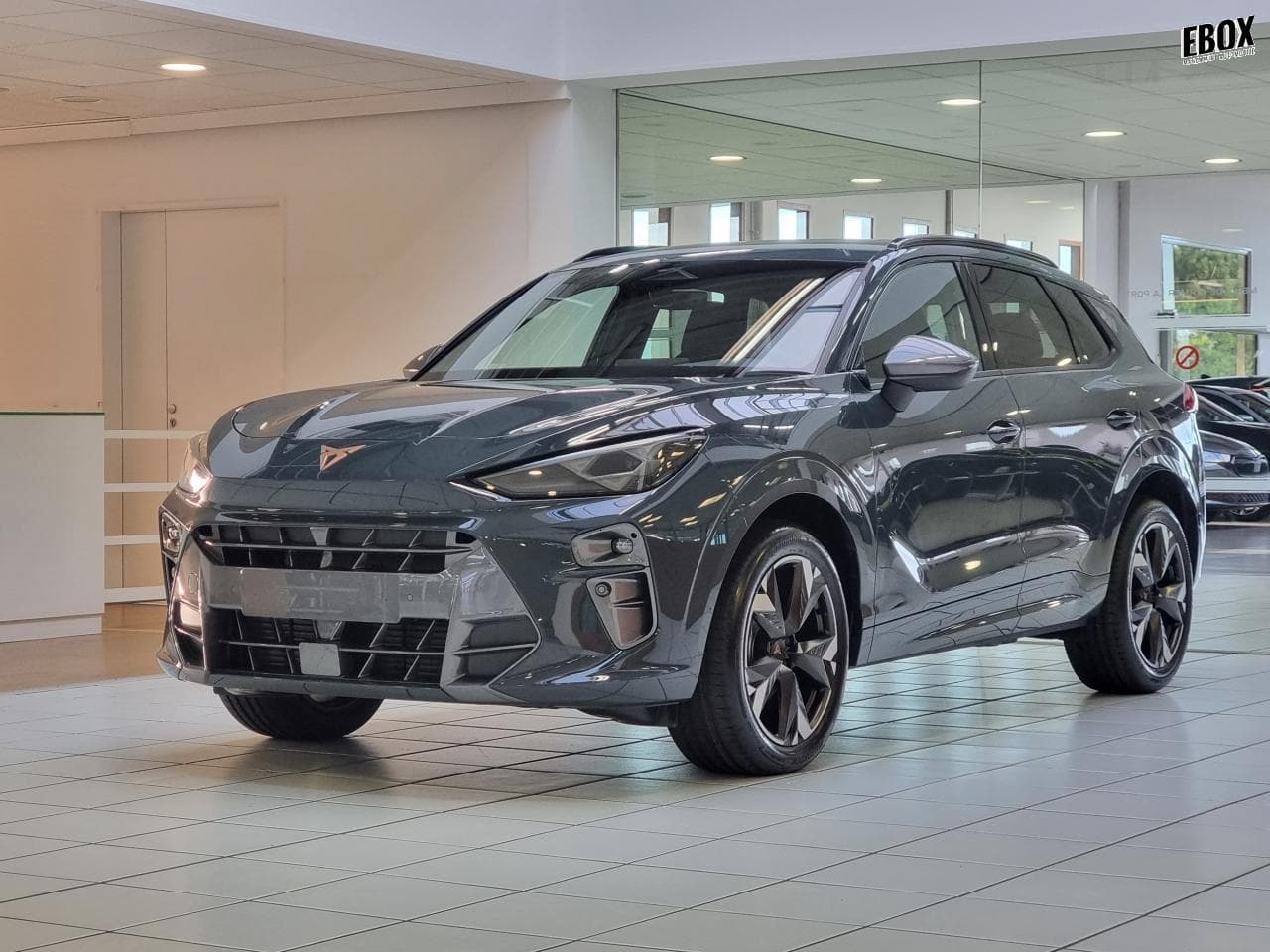 Photo de cupra terramar (1)