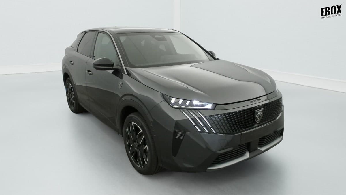 Photo de peugeot 3008 (1)