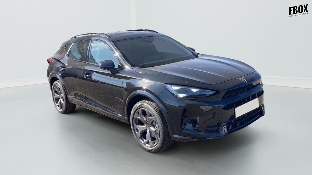 Photo de cupra formentor (1)