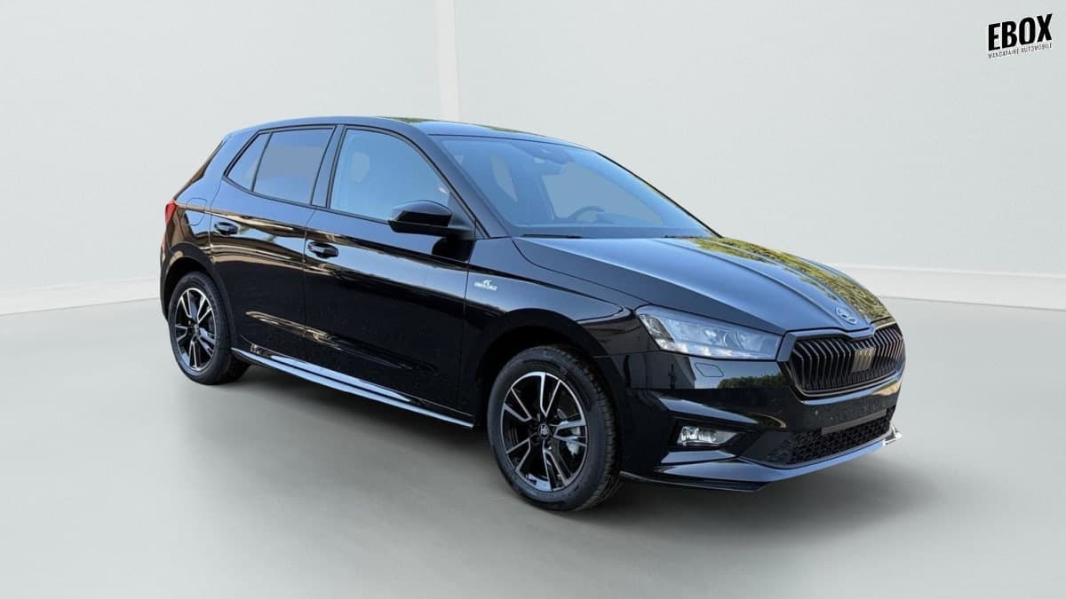 Photo de skoda fabia (1)