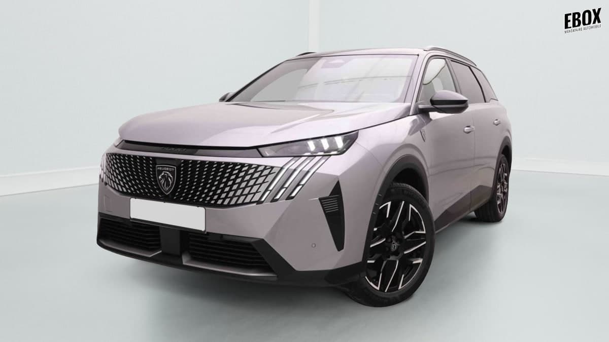 Photo de peugeot 5008 (1)