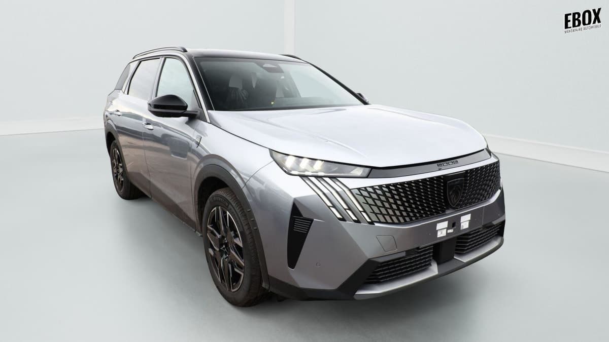 Photo de peugeot 5008 (1)