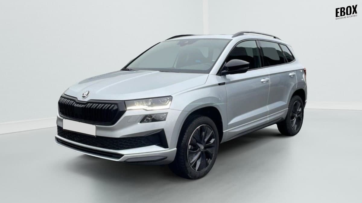 Photo de skoda karoq (1)
