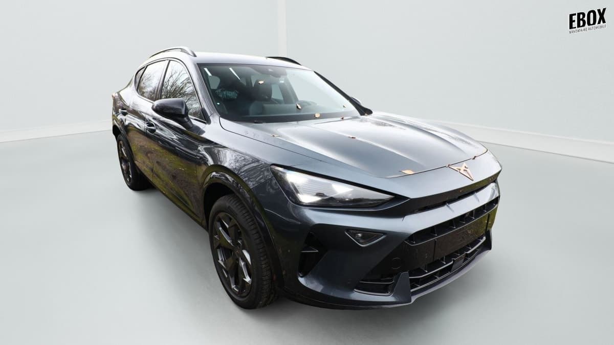 Photo de cupra formentor (1)