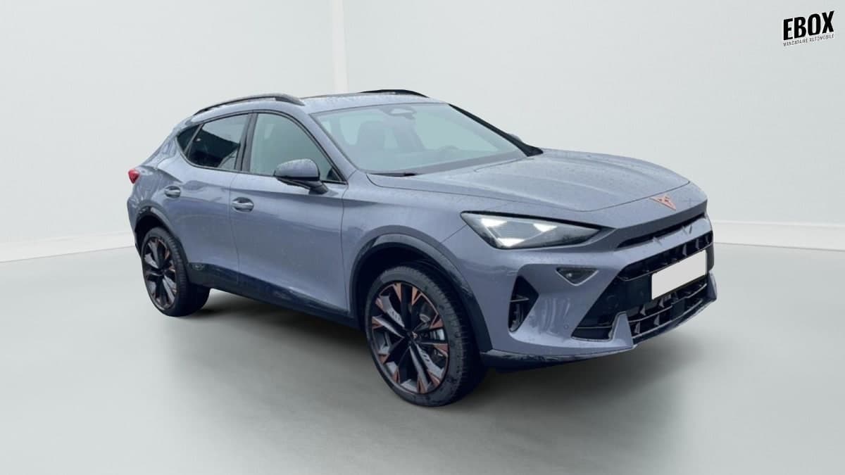 Photo de cupra formentor (1)