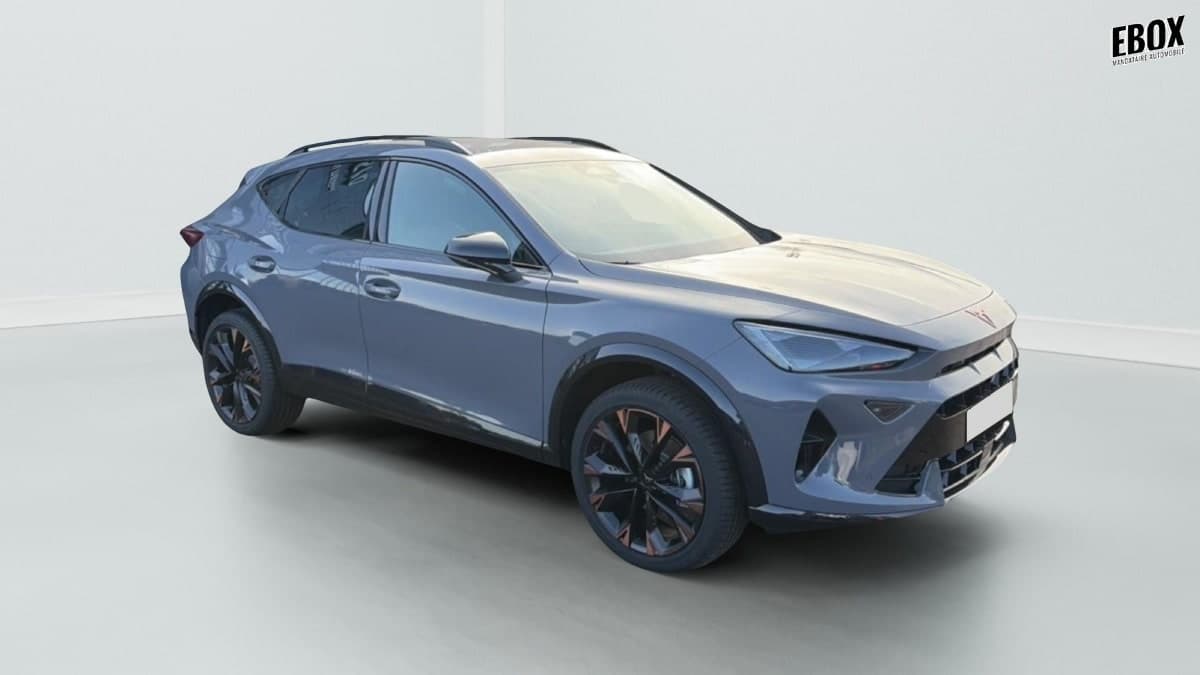 Photo de cupra formentor (1)