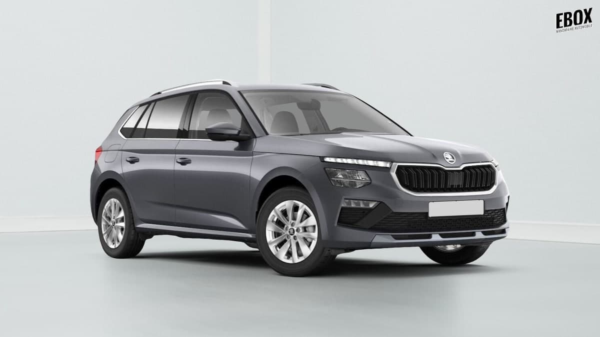 Photo de skoda kamiq (1)