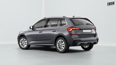 Photo de skoda kamiq (3)