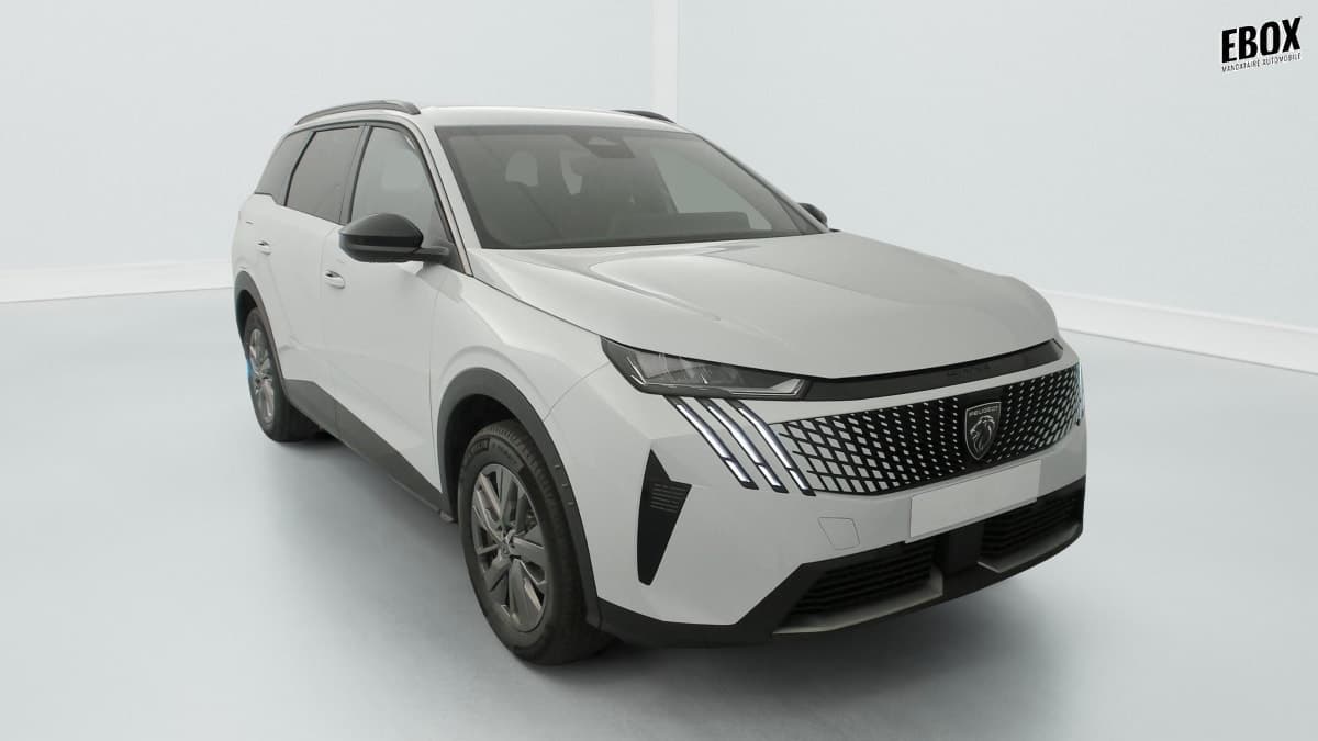 Photo de peugeot 5008 (1)