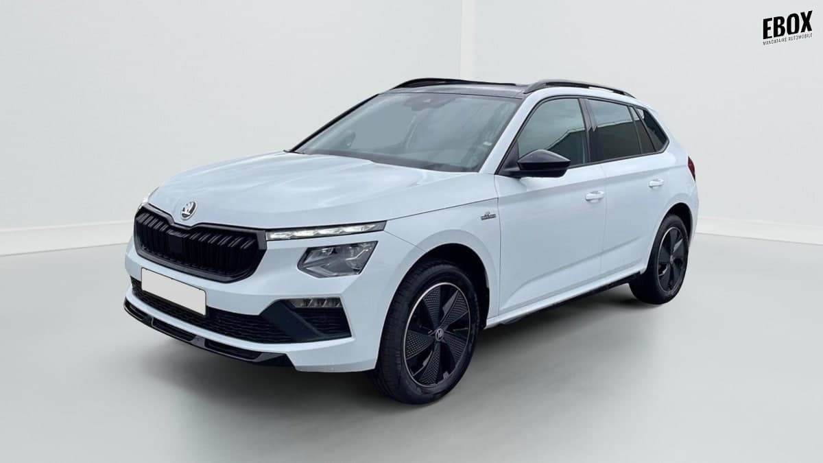 Photo de skoda kamiq (1)