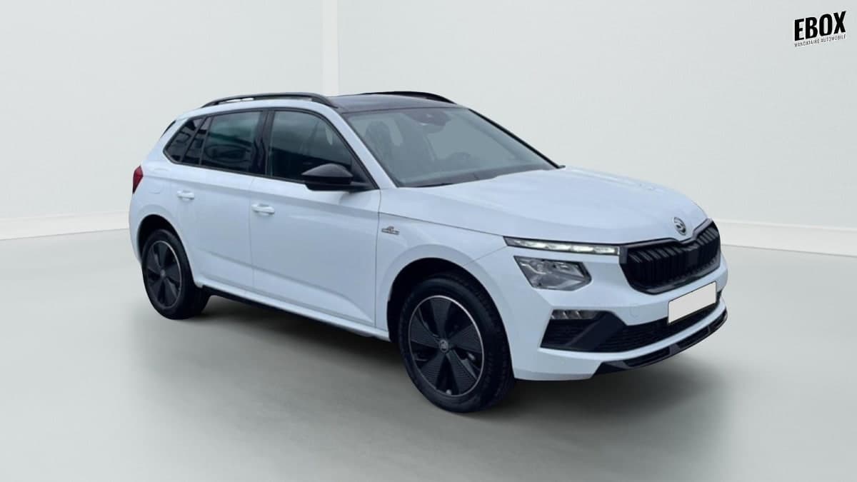Photo de skoda kamiq (1)