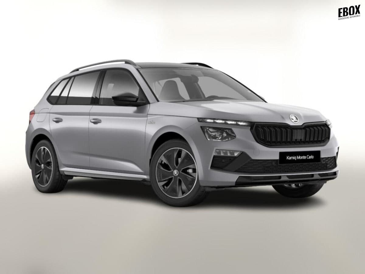 Photo de skoda kamiq (1)