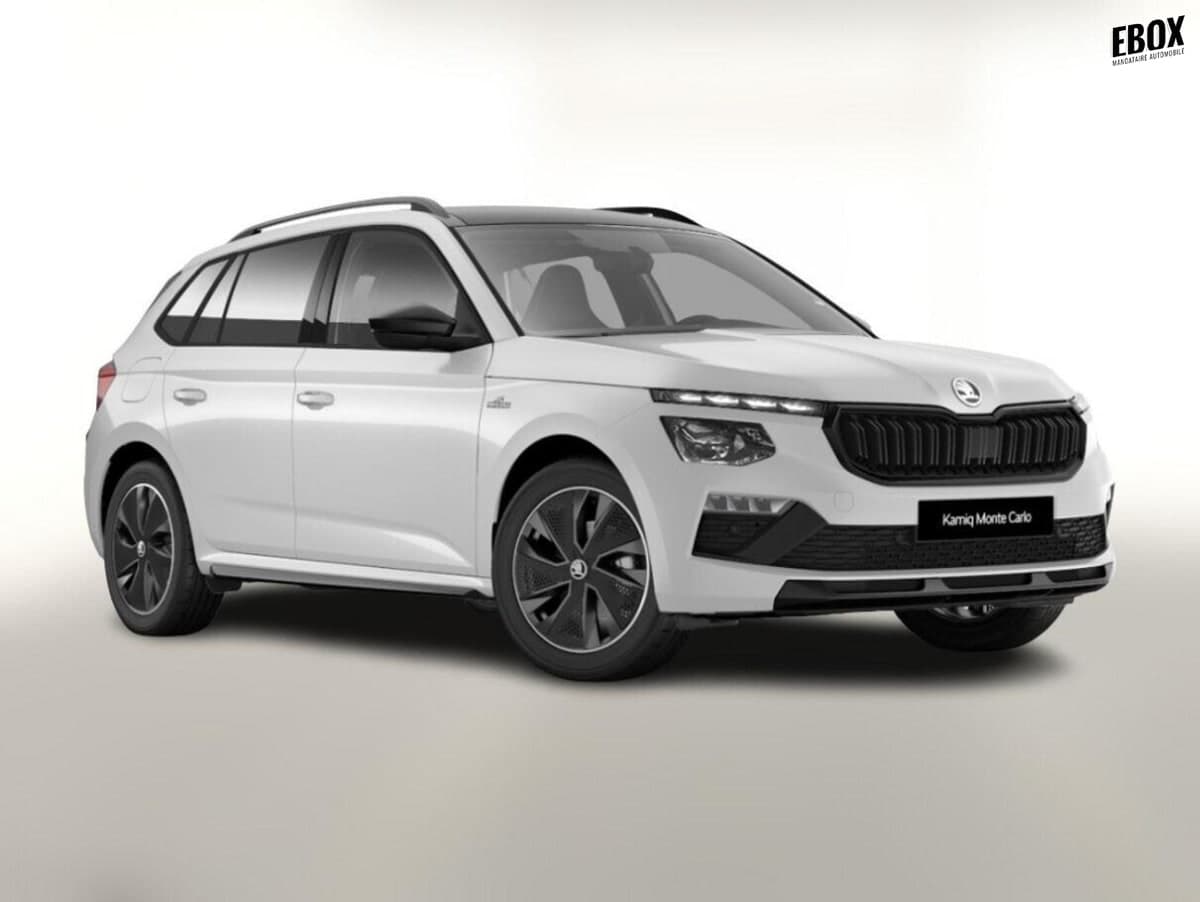 Photo de skoda kamiq (1)