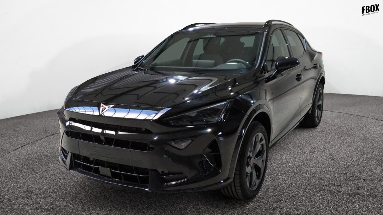 Photo de cupra formentor (1)