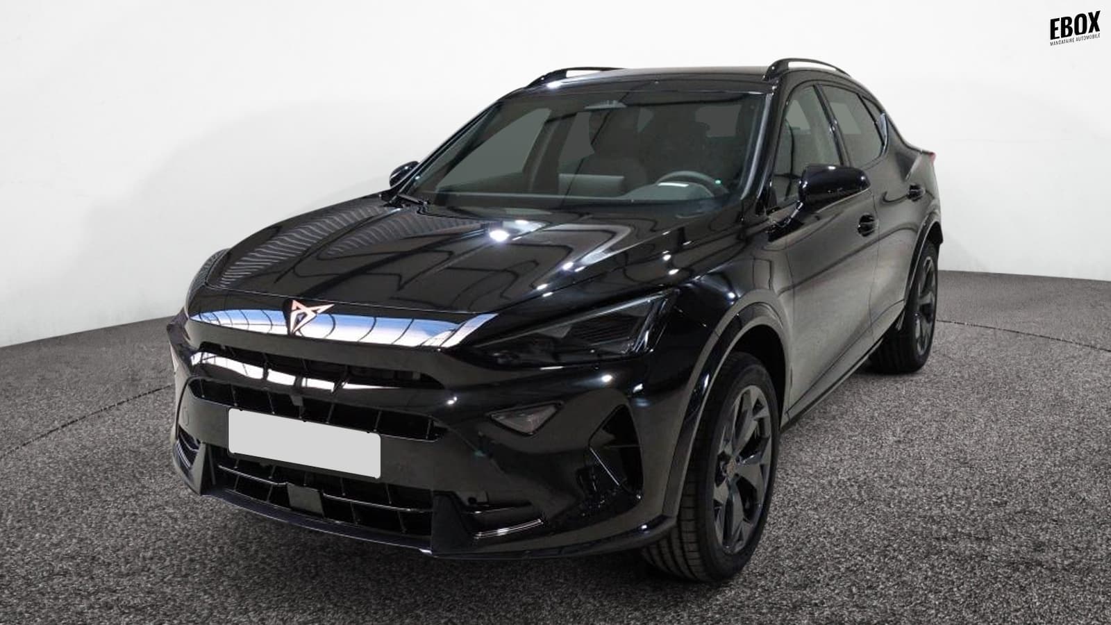 Photo de cupra formentor (1)