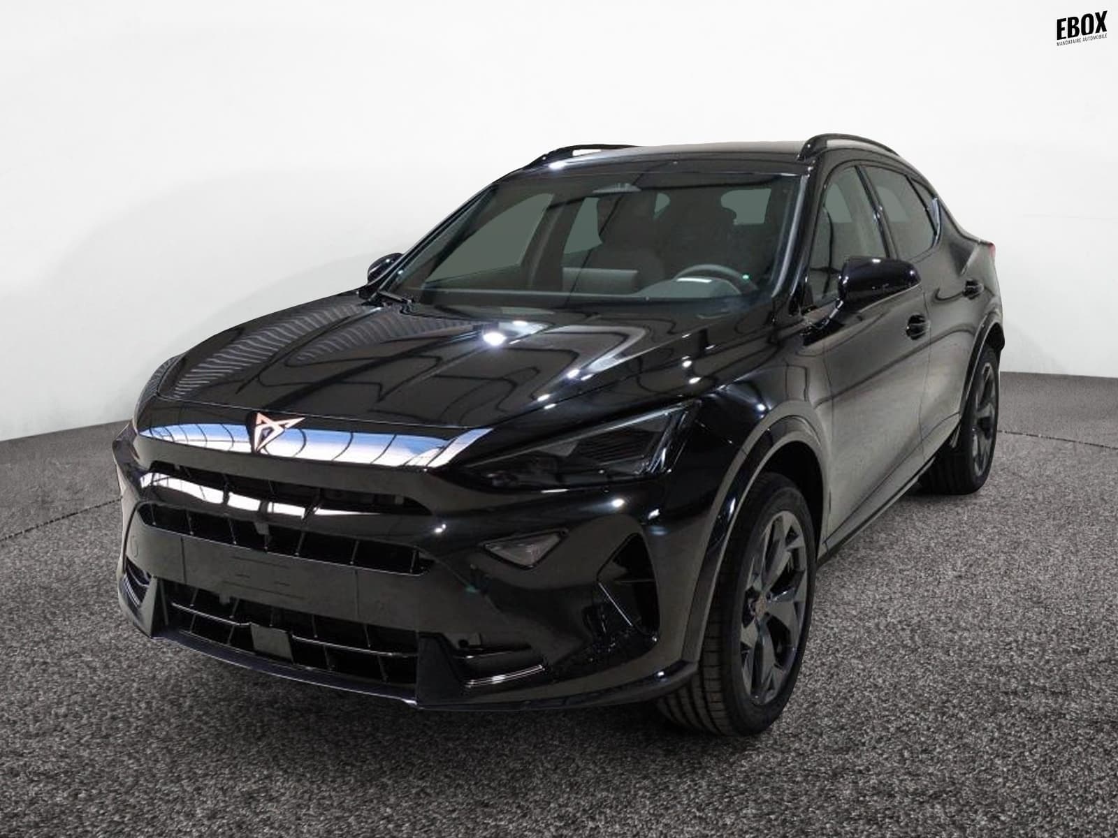 Photo de cupra formentor (1)