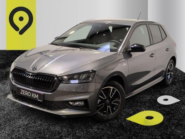 Photo de skoda fabia (1)
