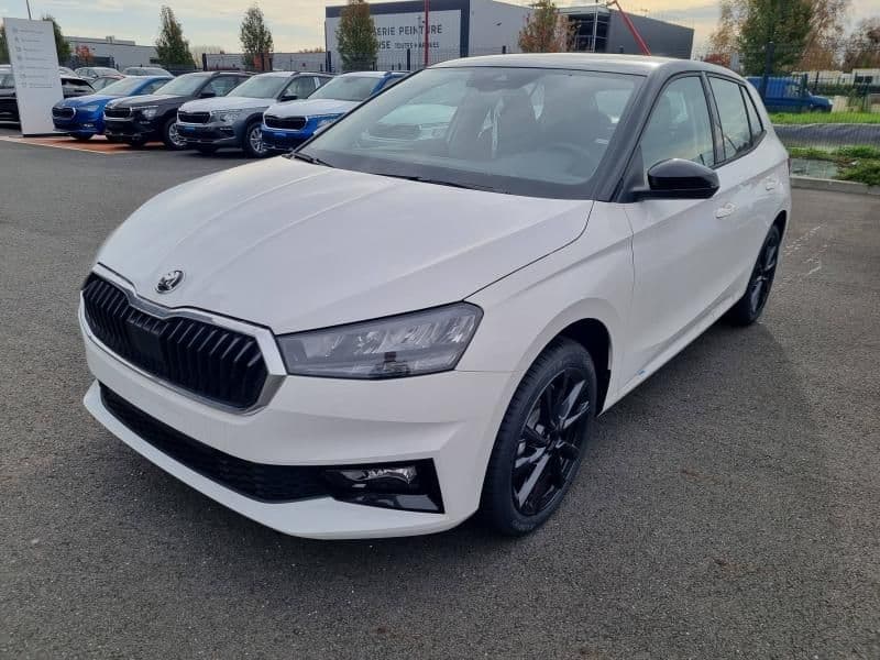 Photo de skoda fabia (1)