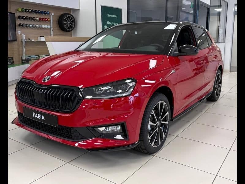 Photo de skoda fabia (1)