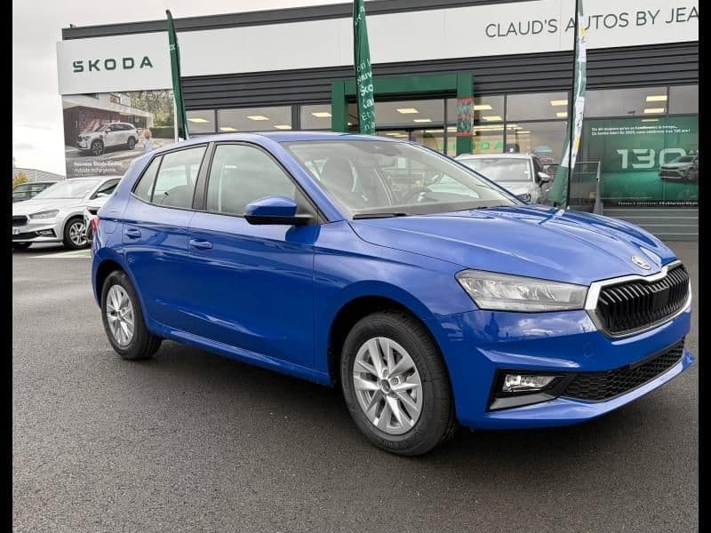 Photo de skoda fabia (1)