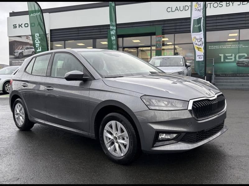 Photo de skoda fabia (1)