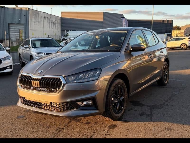 Photo de skoda fabia (1)