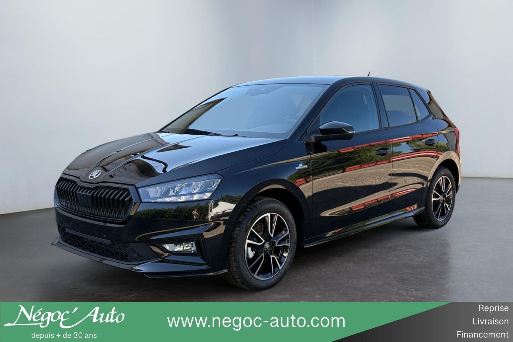 Photo de skoda fabia (1)