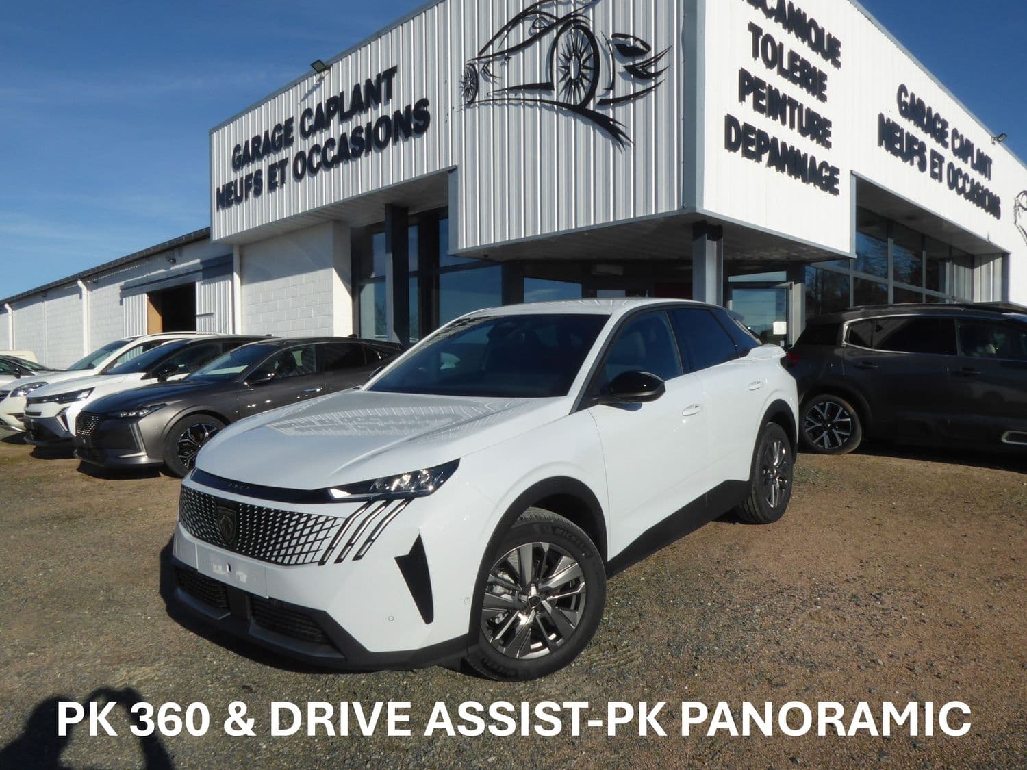 Photo de peugeot 3008 (1)