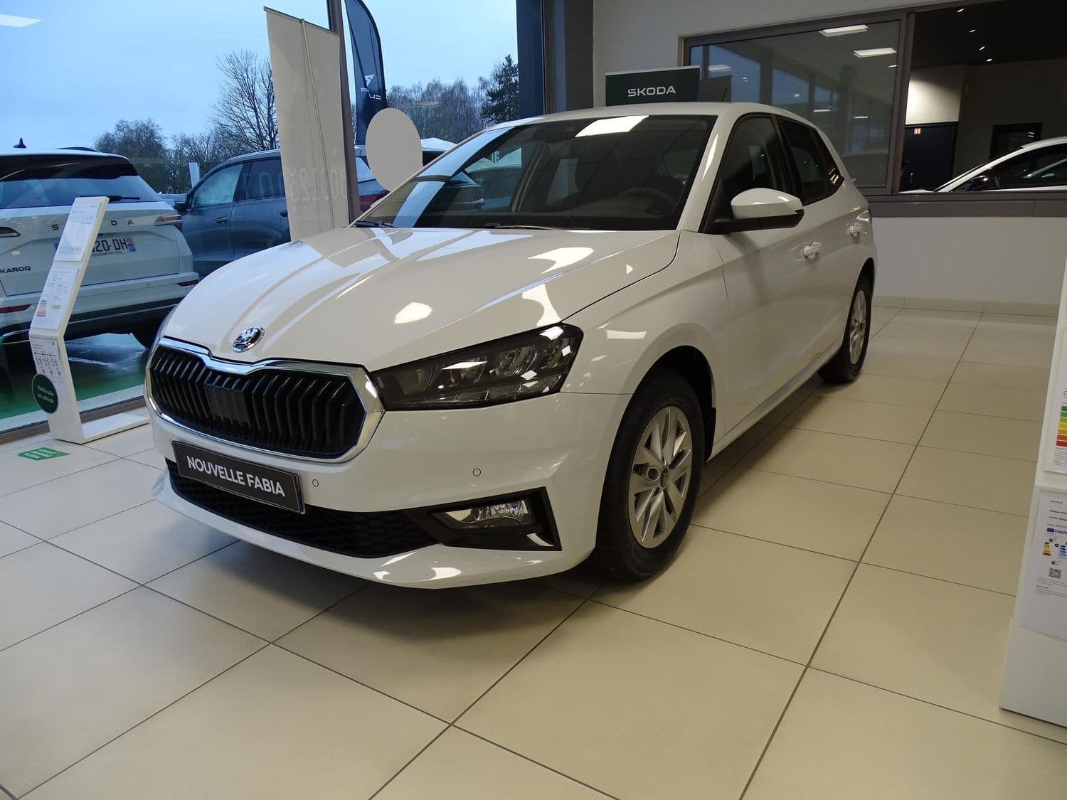Photo de skoda fabia (1)