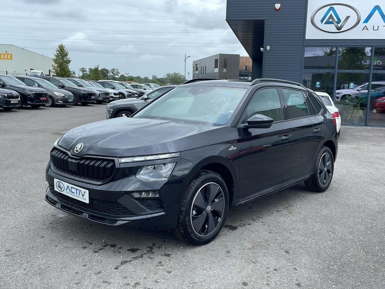 Photo de skoda kamiq (1)