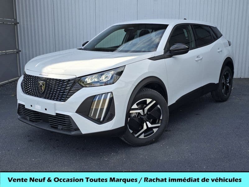 Photo de peugeot 2008 (1)