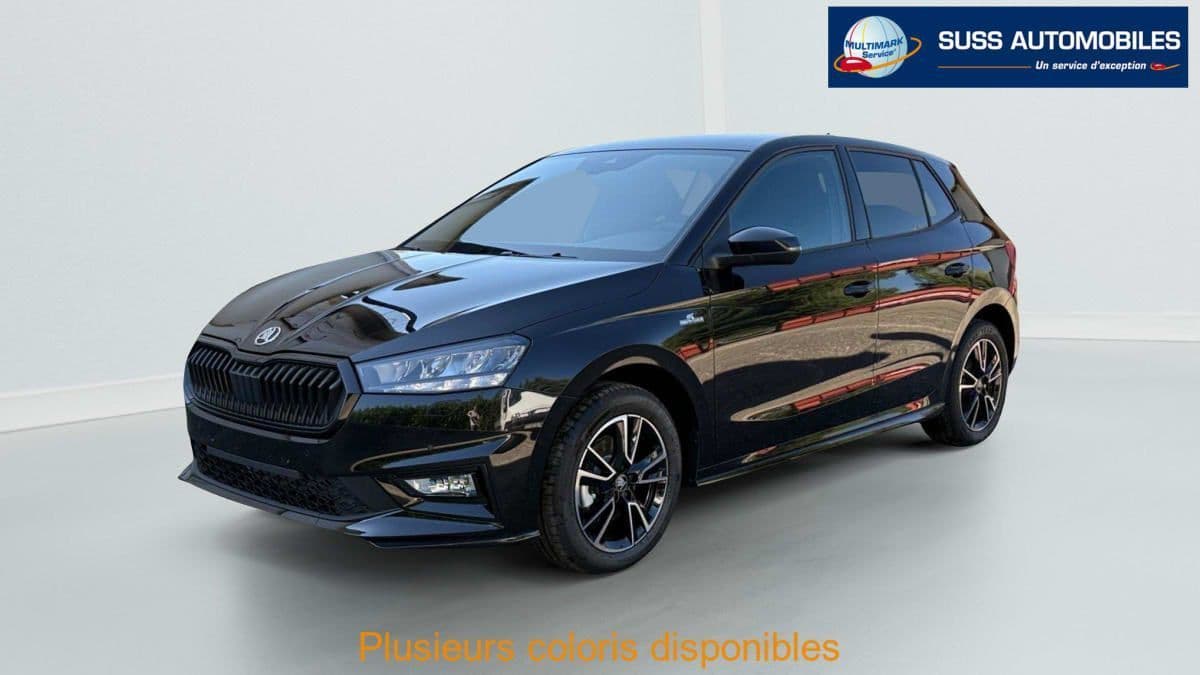 Photo de skoda fabia (1)