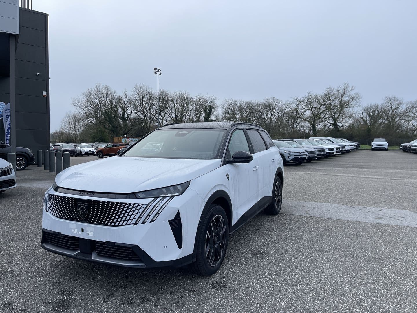 Photo de peugeot 5008 (1)