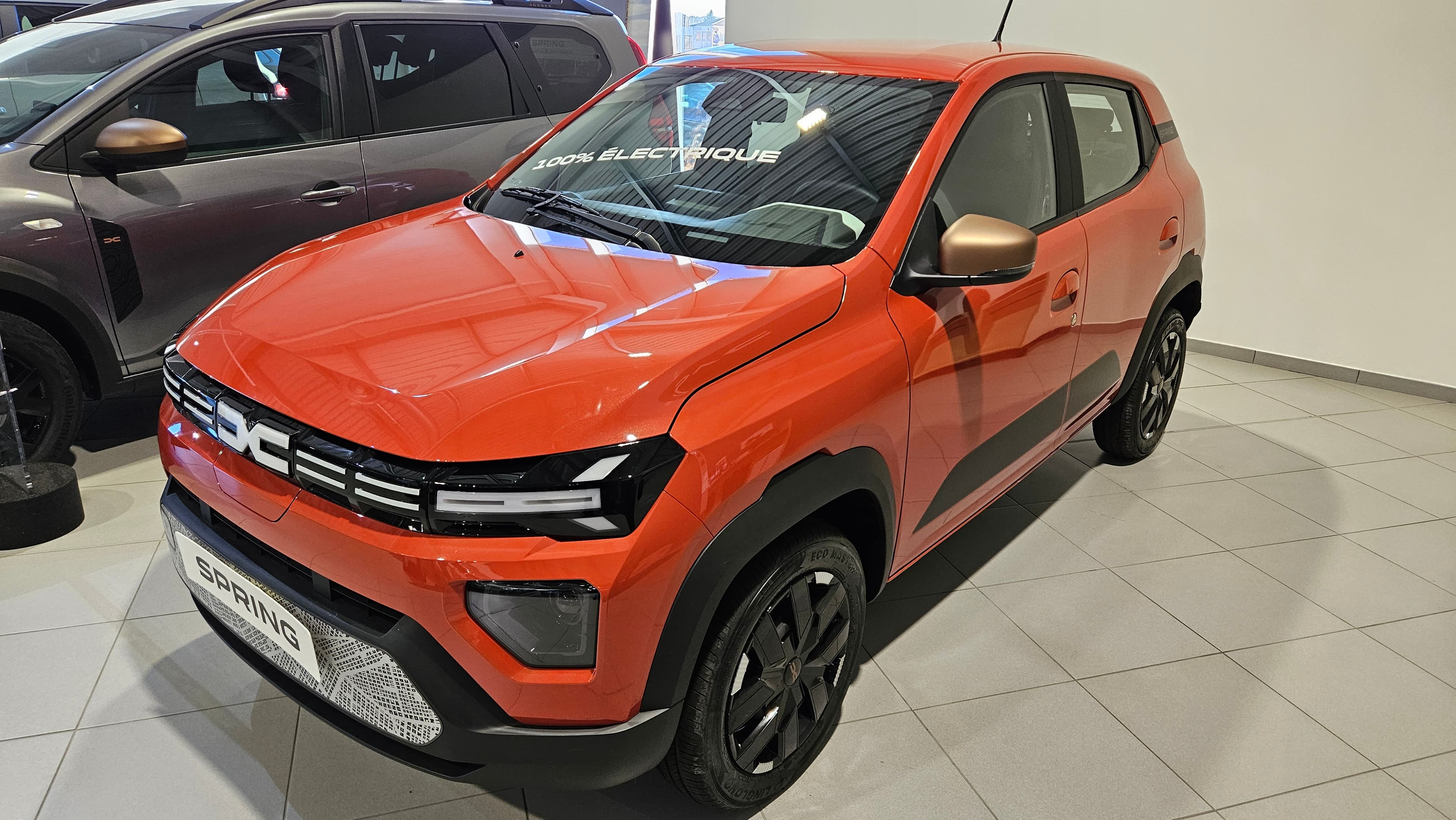 Photo de dacia spring (1)