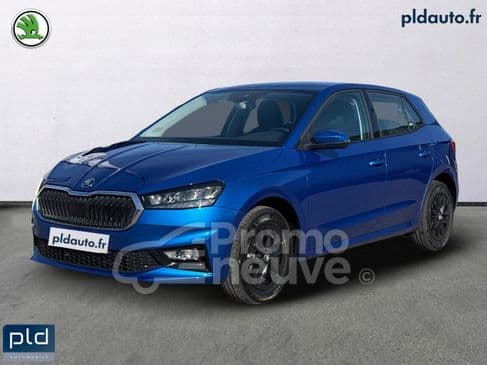Photo de skoda fabia (1)