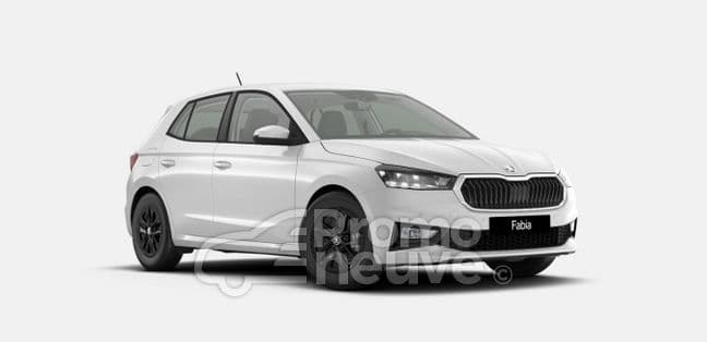 Photo de skoda fabia (1)