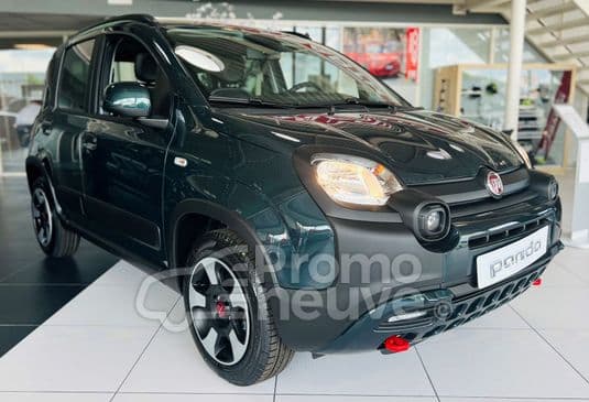 Photo de fiat panda (1)