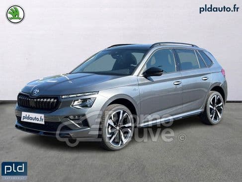 Photo de skoda kamiq (1)