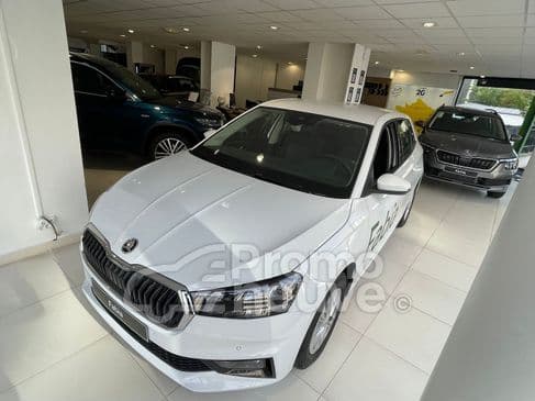 Photo de skoda fabia (1)
